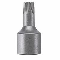 Bosch 38860 1 In. Torx T55 Female 3/8 In. Square Socket Drive Bit