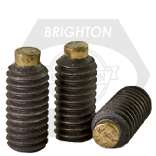 1/4"-28 x 5/8" Socket Set Screws, Cup Point, Brass-Tip, Fine, Alloy Steel, Qty 100