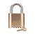 MASTER LOCK Combination Padlock,Bottom,Brass 176