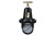 COILHOSE PNEUMATICS 1/2" REGULATOR WITH GAUGE 0-200 PSI