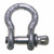CAMPBELL® 419 5/8" 3-1/4T ANCHOR SHACKLE W/SCREWPIN