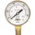 GW 33-G20-050CF GAUGE