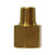 Midland Metal 10440P SAE 45deg Flare Adapter, 1/4-in Female Flare x 1/8-in Male NPTF, Brass