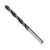 Bosch BP14603 1/4 In. Brad Point Drill Bit