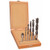 Alfa Tools DS50119 6pc Brad Point Drill Router Set