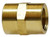 Midland Metal 28059 Pipe Coupling, 1/4 in FNPT x 1/4 in FNPT, 1.12 in, Brass
