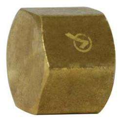 AMC 706108-04 Pipe Cap, 1/4 in FIP, 0.6 in, Brass