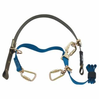 DBI-SALA CYNCHLOK FALL RESTRICTING POLE STRAP  WEB TRAN