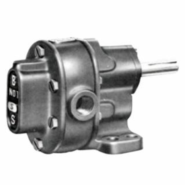 2S ROTARY GEAR PUMP FOOTMTG WORV CW