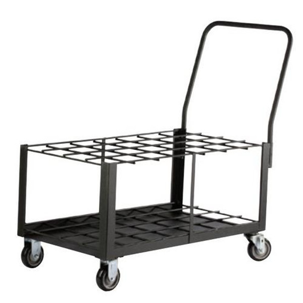 WESTERN ENTERPRISES CYL CART 24EA D/E (ANT6244)