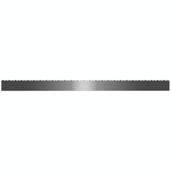 10'03 5/8X025X3/HK-P-A MEATKUTTER PREMBSAW COIL