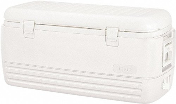 IGLOO 120 QT POLAR WHITE