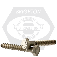 3/4"-4 1/2 x 20" Hex Lag Screws, 18-8 Stainless Steel A2, Qty 5