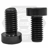 M8-1.25 x 60 mm Low Head Socket Cap Screws, Class 8.8, DIN 7984, Plain Finish, Partially Threaded, Qty 400