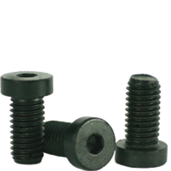 #10-32 x 1/2" Low Head Socket Cap Screws, Thermal Black Oxide, Fine, Alloy Steel, Qty 100