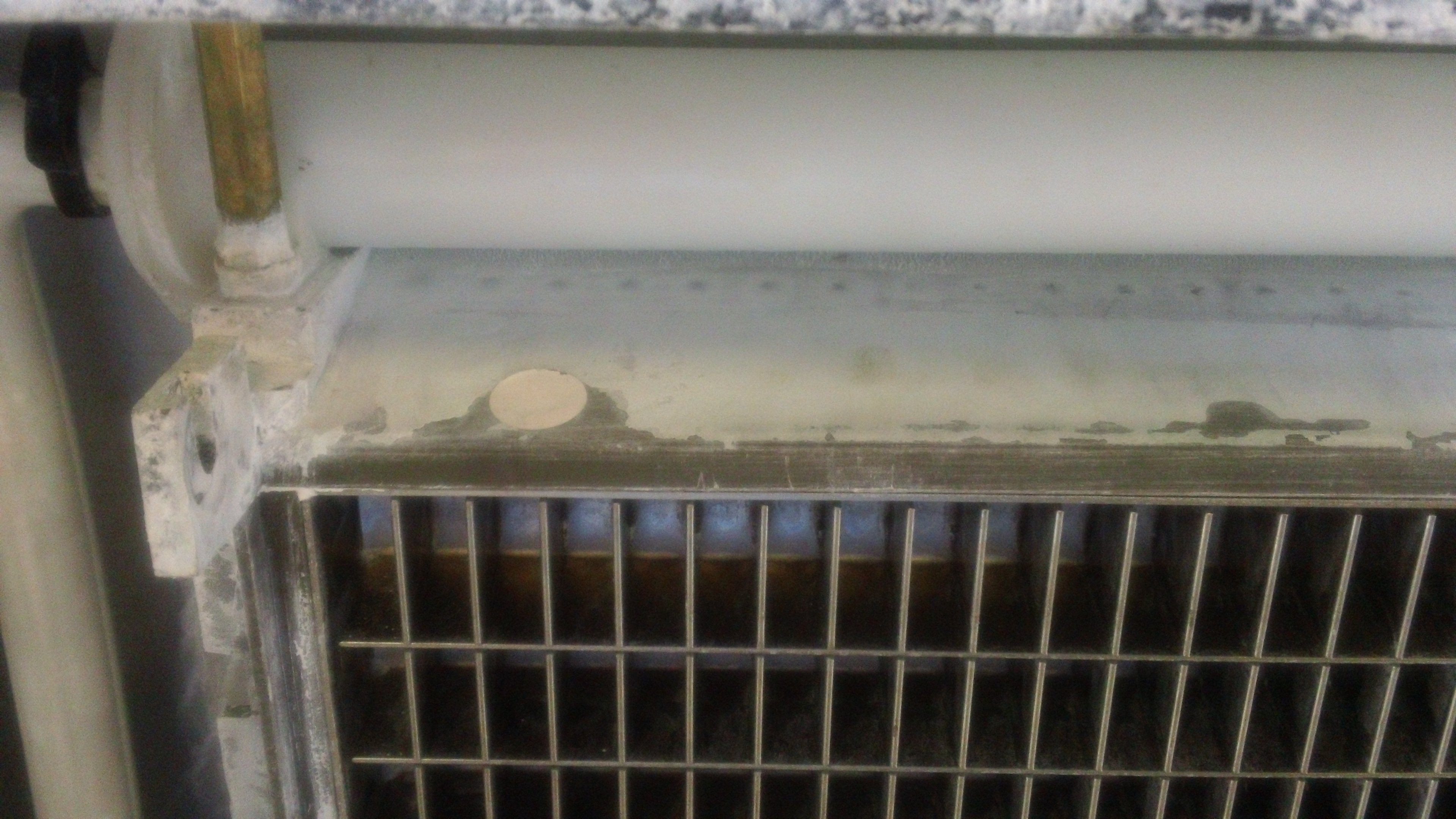 calcium in ice maker