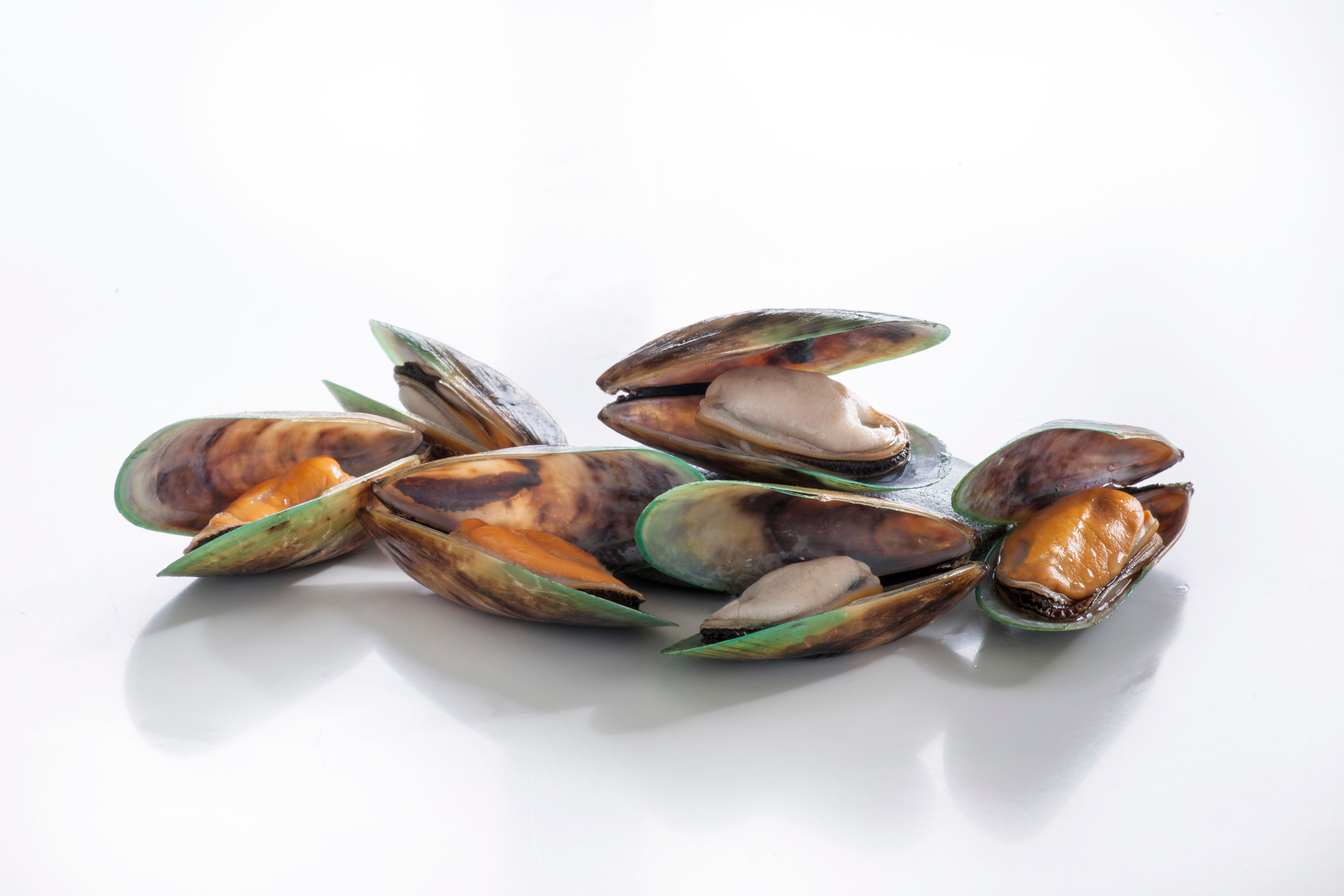Green Shell Mussels - Cfarmx