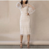 Embroidery Print Floral Mesh Women's Dress