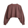 Short Pullover New Autumn Winter Thick Coat Velour Loose Womens Sweatshirt Solid Casual Tops lady