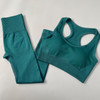 Seamless Yoga Set Women Gym Clothes Sportswear Fitness Gym Set Sports Bra Underwear Tracksuit