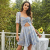 Women's design French romantic sweet cool floral dress
