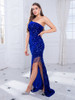 Royal Blue Luxury Beading Evening Night Party Dress 
