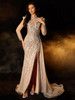 Sliver Gowns Fashion Evening dress Luxury Party Dress 