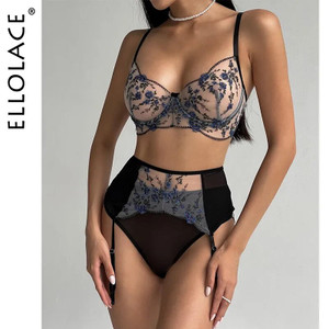 Ellolace Fancy Sexy Lingerie For Fine Women Push Up Bras Luxury Embroidered Mesh Underwear Fantasy Transparent Intimate Set