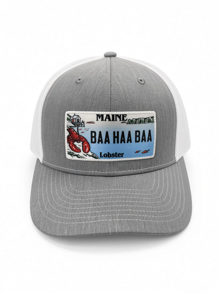 GREY LICENCE PLATE BAA HAA BAA HAT