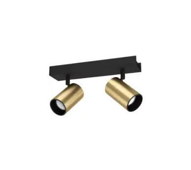 Black and brass two-light spotlight