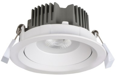 White gimble IP40 downlight