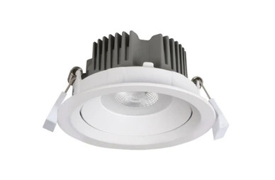 White gimble IP40 downlight