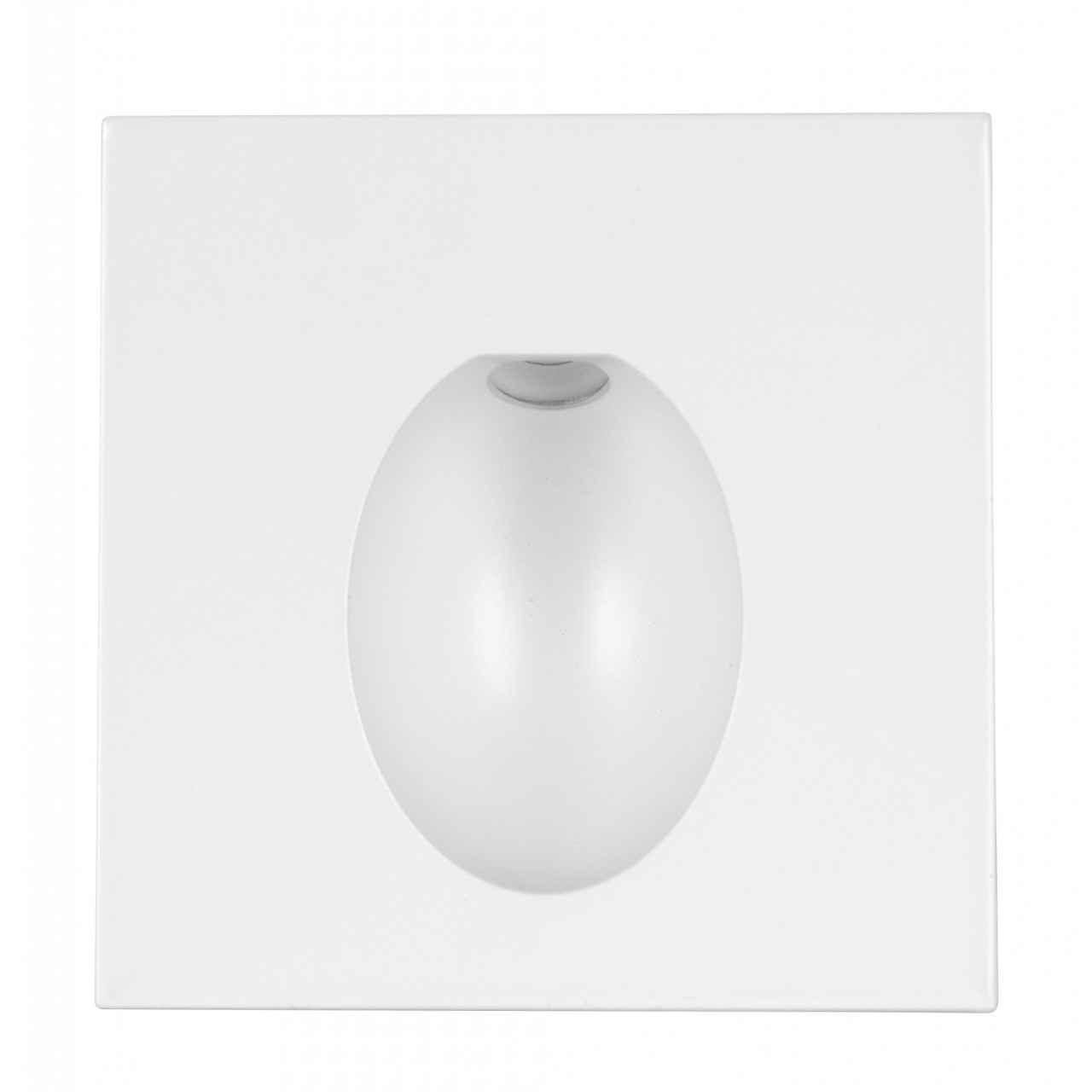 White oval steplight