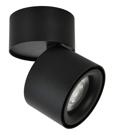 Black tiltable spot