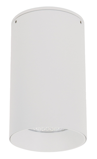 White surface mounted downlight