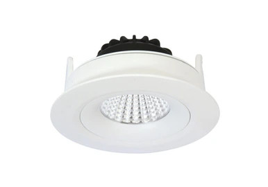 White gimble IP54 downlight