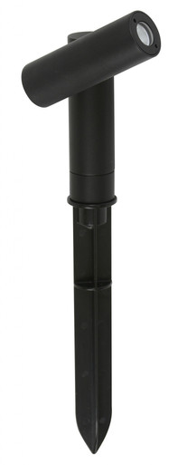 Black garden spike