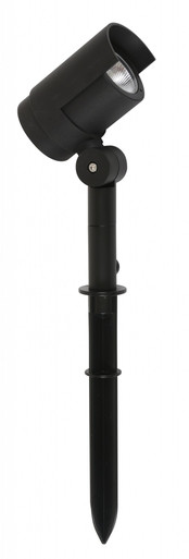Black garden spike