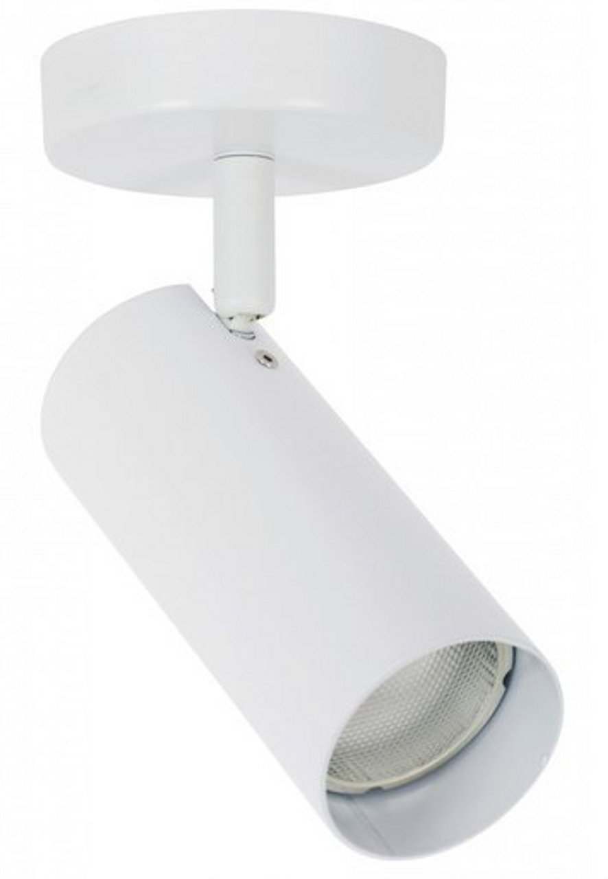 White spotlight with adjustable head