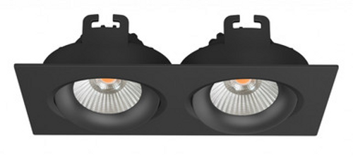 Black two light square downlight Black two light square downlight