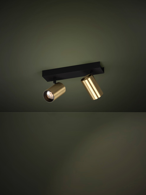 Black and brass two-light spotlight Black and brass two-light spotlight