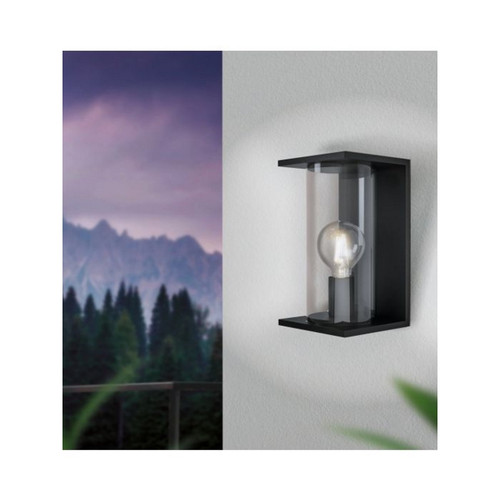 Black and clear diffuser exterior wall light