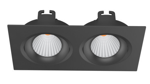 Black two light square downlight Black two light square downlight