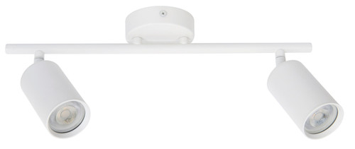 White 2 bar spotlight