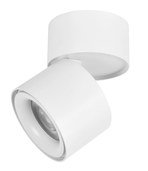 White tiltable spot White tiltable spot