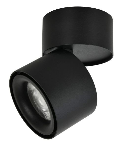 Black tiltable spot Black tiltable spot