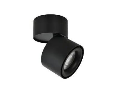 Black tiltable spot
