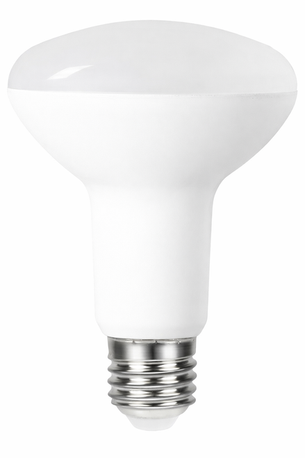 LED R80 with white finish