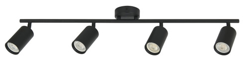 Black 4 bar spotlight