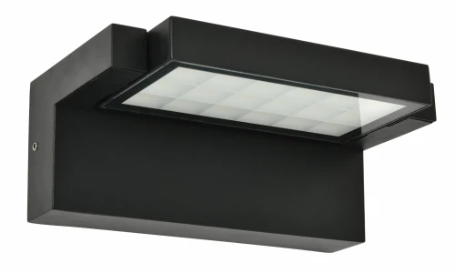 Black tiltable IP65 flood light